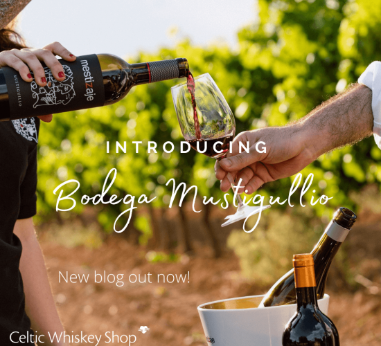 Wine Producer Spotlight Bodega Mustigullio